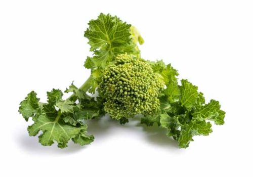 pizza e friarielli: origini e storia