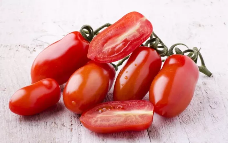 il pomodoro S.Marzano come ingrediante principale della vera pizza napoletana